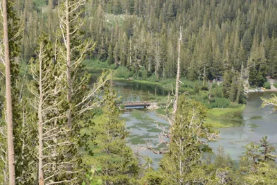 DSC_2940 (Large).JPG